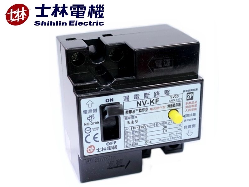 20A 2P漏電斷路器110/220V