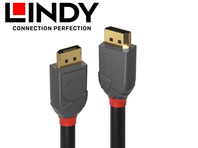 LINDY林帝 DisplayPort 1.4版公to公傳輸線2M